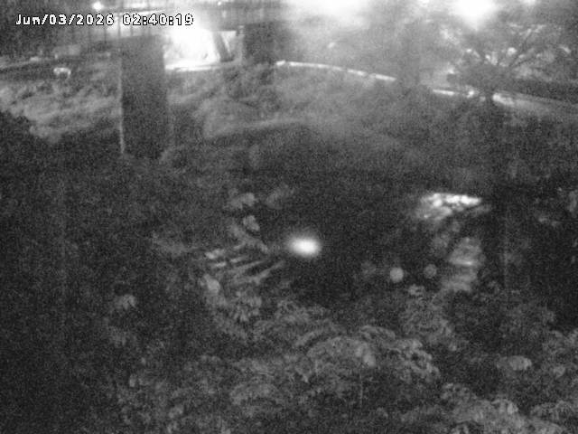 日野川１０2026/06/03 6:20:00
