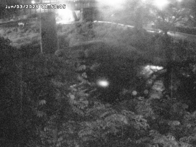日野川１０2026/06/03 6:20:00