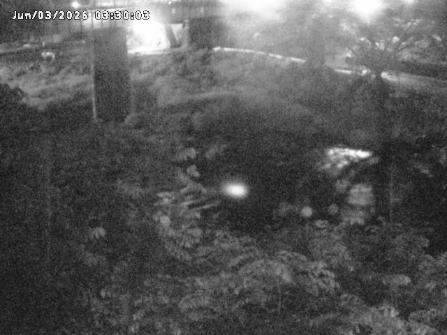 日野川１０2026/06/03 6:20:00
