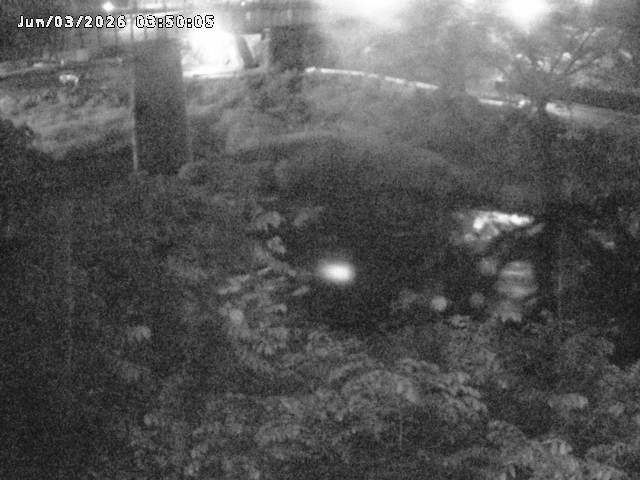 日野川１０2026/06/03 6:20:00
