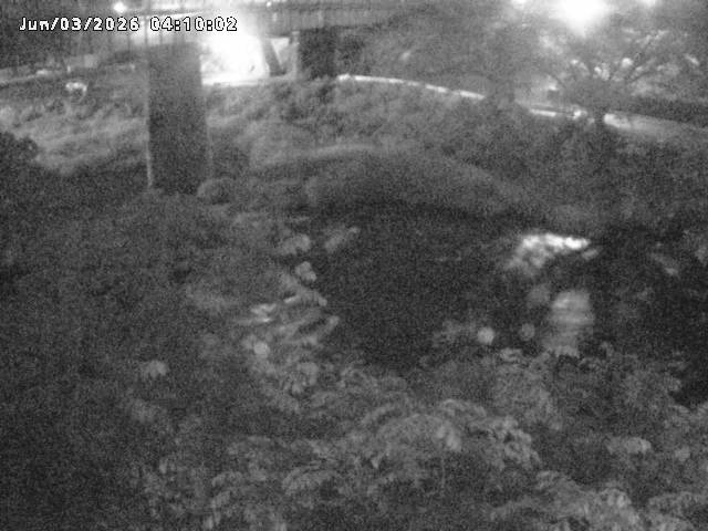 日野川１０2026/06/03 6:20:00