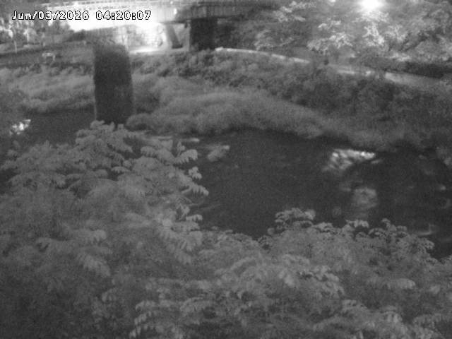 日野川１０2026/06/03 6:20:00