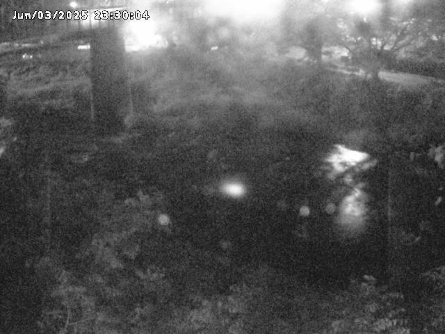 日野川１０2025/06/04 2:30:00