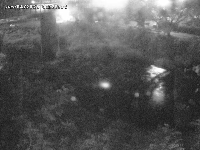 日野川１０2025/06/04 2:30:00