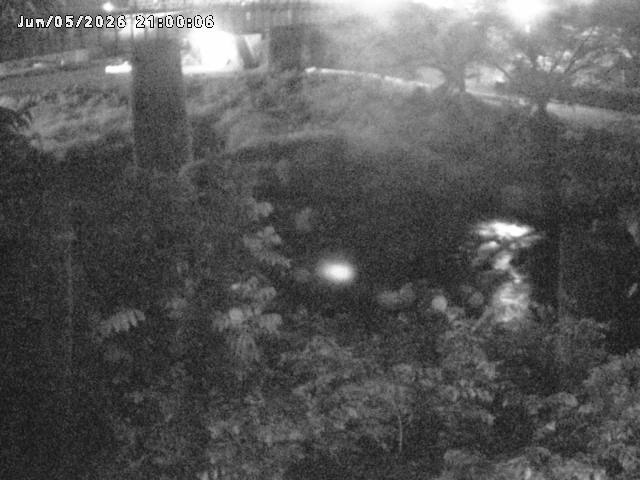 日野川１０2026/06/06 7:20:00