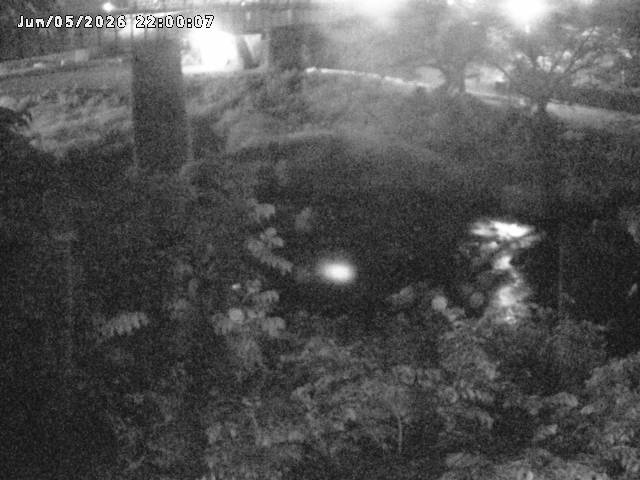 日野川１０2026/06/06 7:20:00