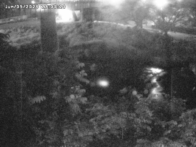 日野川１０2026/06/06 7:20:00
