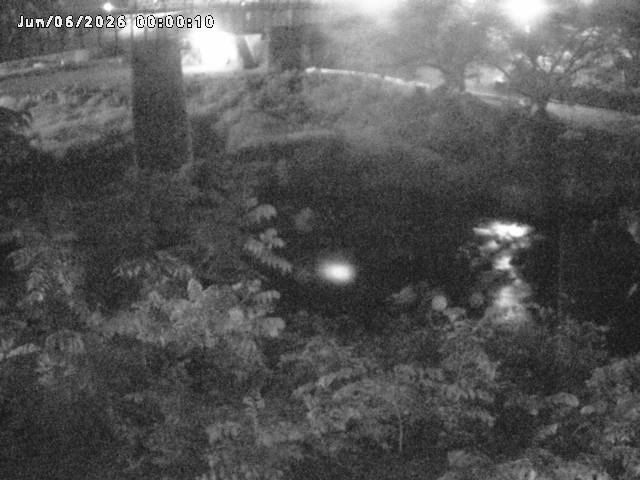 日野川１０2026/06/06 7:20:00