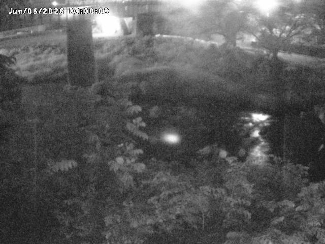 日野川１０2026/06/06 7:20:00