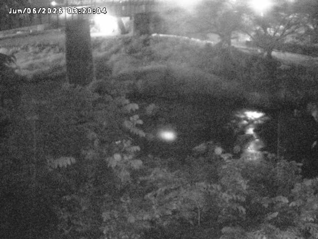 日野川１０2026/06/06 7:20:00