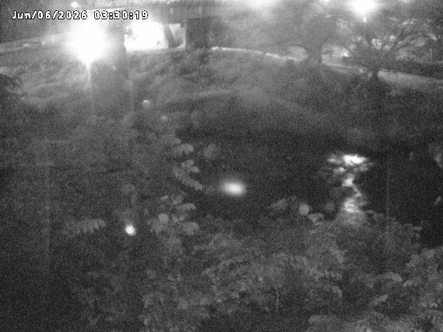 日野川１０2026/06/06 7:20:00