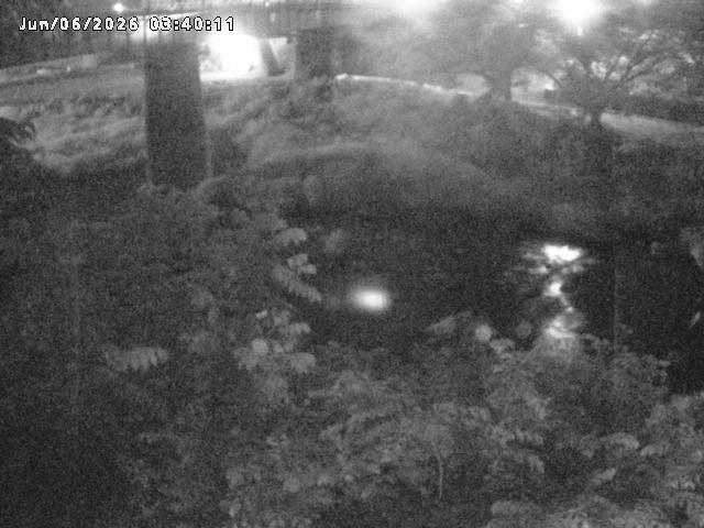 日野川１０2026/06/06 7:20:00