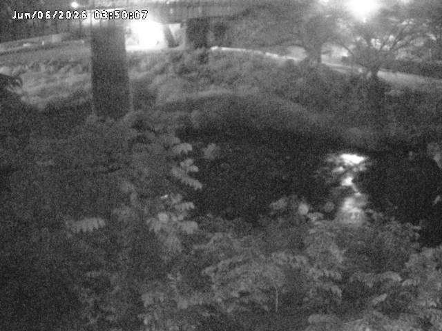 日野川１０2026/06/06 7:20:00