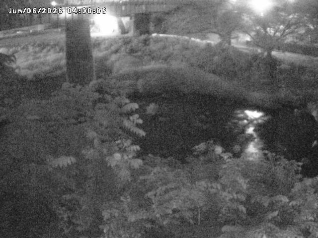 日野川１０2026/06/06 7:20:00