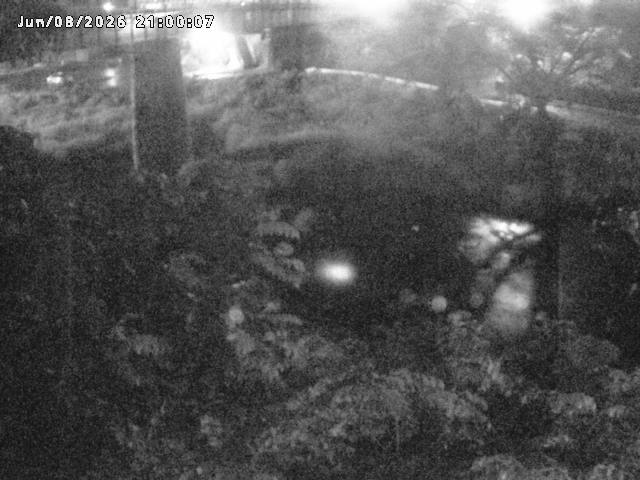 日野川１０2026/06/09 7:10:00