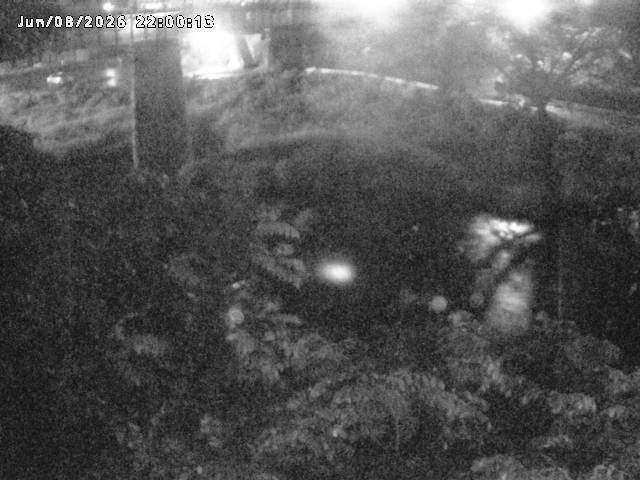 日野川１０2026/06/09 7:10:00