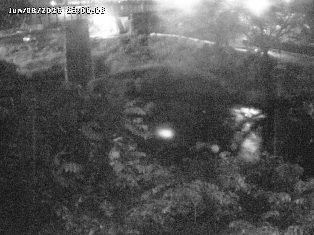 日野川１０2026/06/09 7:10:00