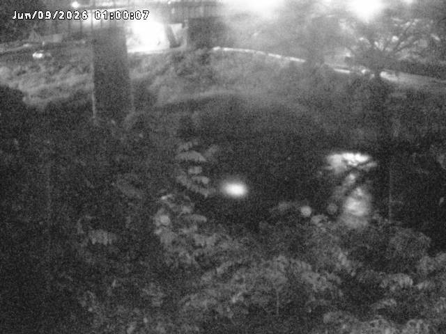 日野川１０2026/06/09 7:10:00