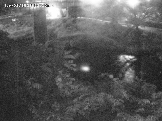 日野川１０2026/06/09 7:10:00