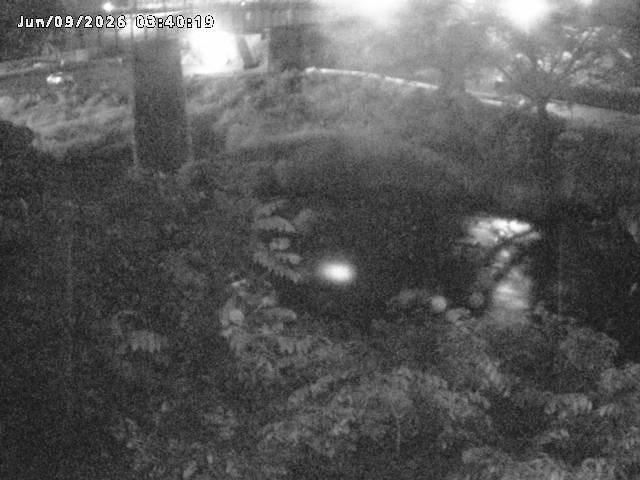 日野川１０2026/06/09 7:10:00