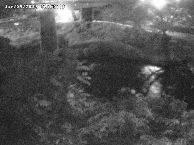 日野川１０2026/06/09 7:10:00