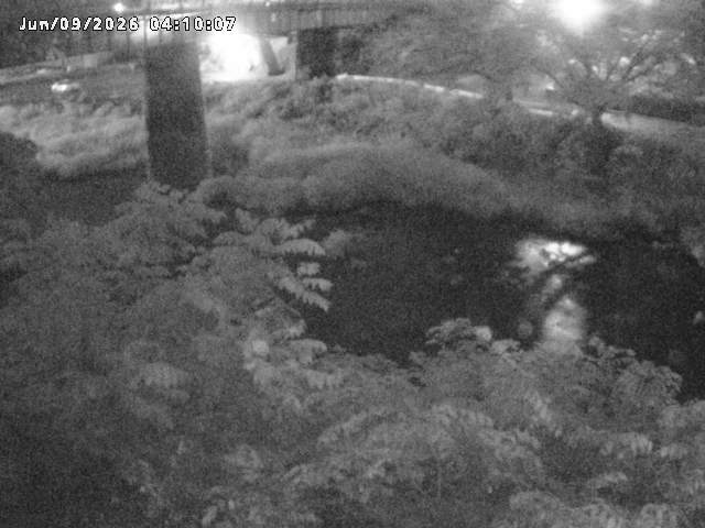 日野川１０2026/06/09 7:10:00