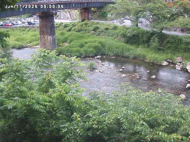 日野川１０2026/06/12 8:00:00