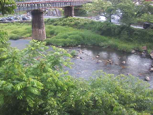 日野川１０2026/06/12 8:00:00