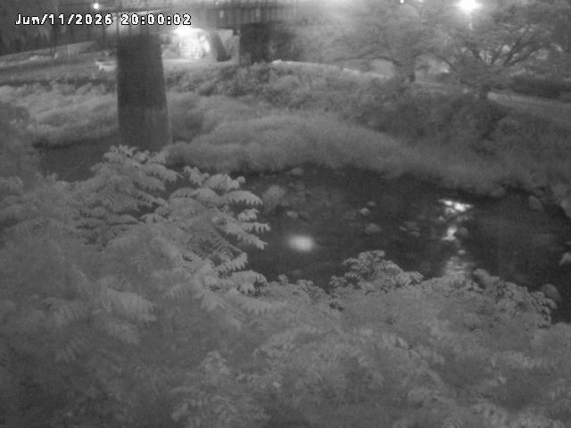 日野川１０2026/06/12 8:00:00