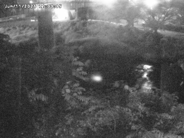 日野川１０2026/06/12 8:00:00