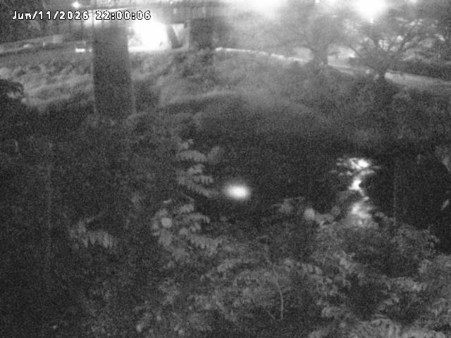 日野川１０2026/06/12 8:00:00