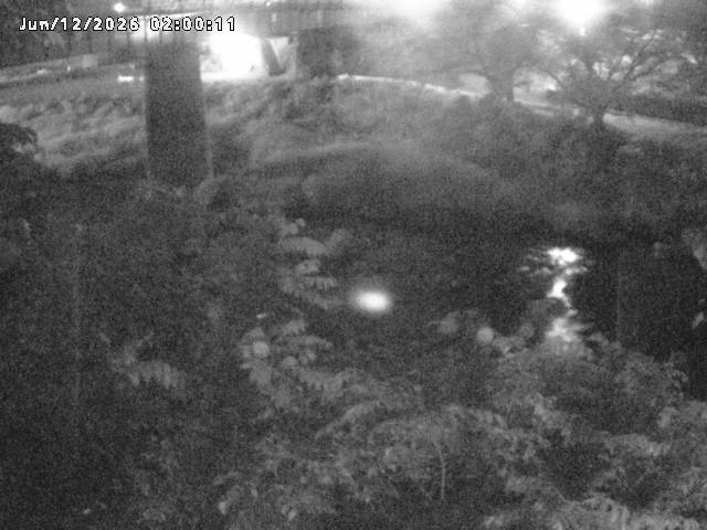 日野川１０2026/06/12 8:00:00