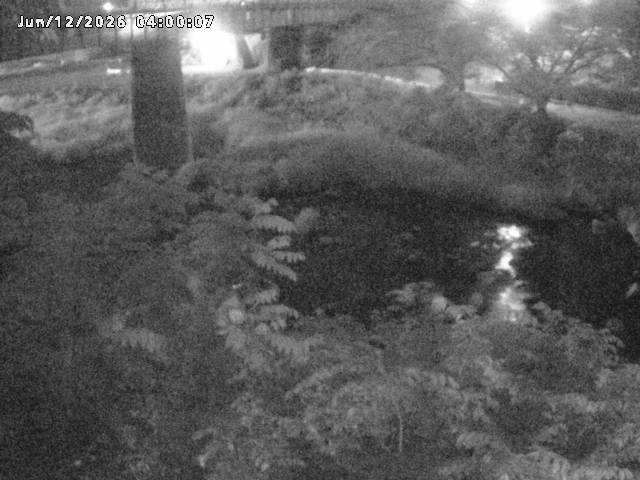 日野川１０2026/06/12 8:00:00