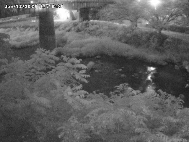 日野川１０2026/06/12 8:00:00