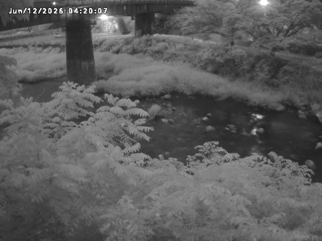 日野川１０2026/06/12 8:00:00