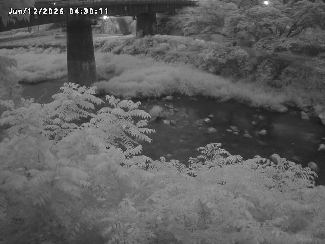 日野川１０2026/06/12 8:00:00