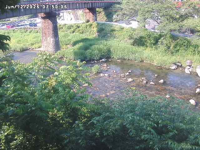 日野川１０2026/06/12 8:00:00