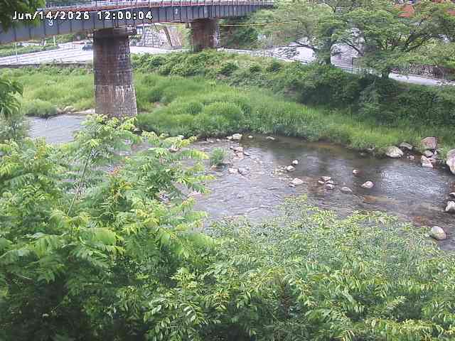 日野川１０2026/06/15 8:10:00