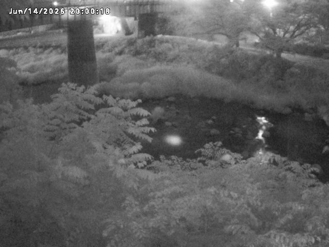 日野川１０2026/06/15 8:10:00