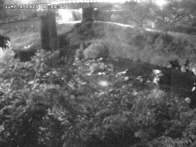 日野川１０2026/06/15 8:10:00