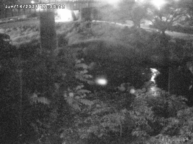 日野川１０2026/06/15 8:10:00