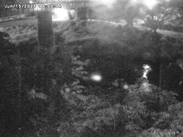 日野川１０2026/06/15 8:10:00