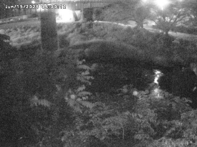 日野川１０2026/06/15 8:10:00