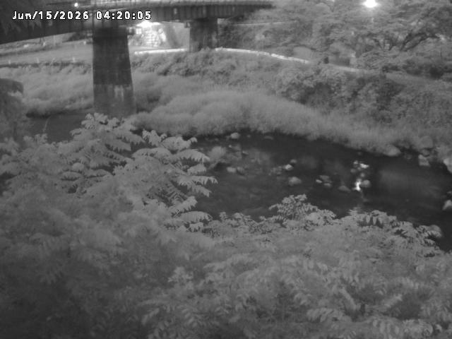 日野川１０2026/06/15 8:10:00