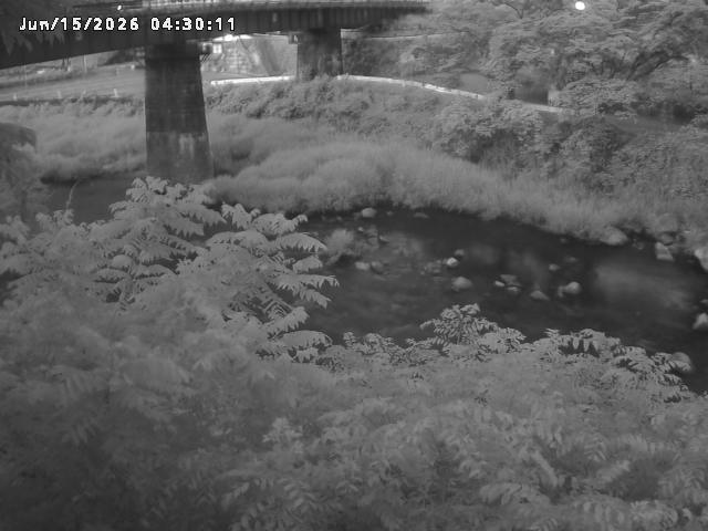 日野川１０2026/06/15 8:10:00