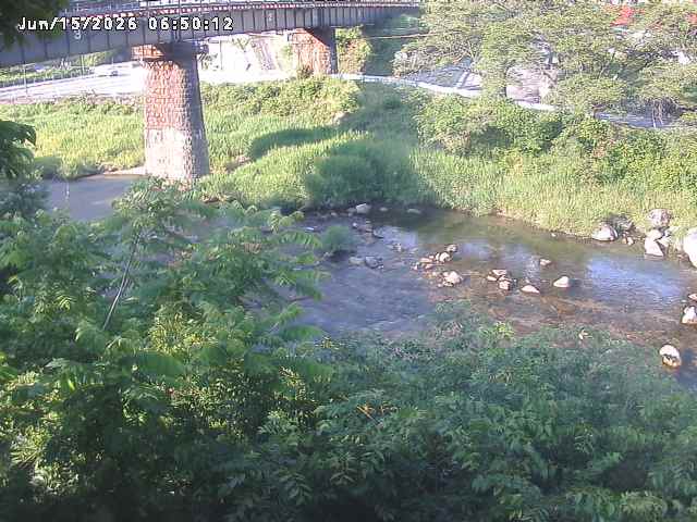 日野川１０2026/06/15 8:10:00