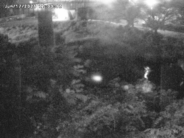 日野川１０2026/06/18 9:20:00