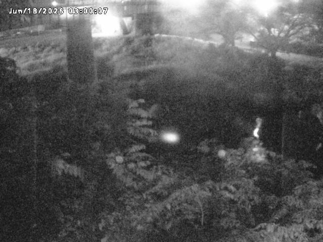 日野川１０2026/06/18 9:20:00