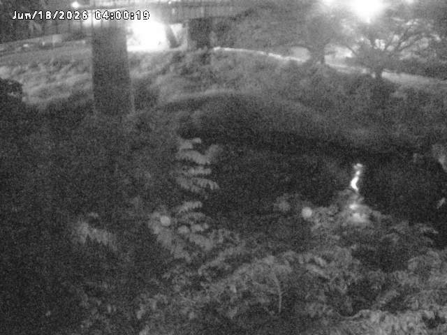 日野川１０2026/06/18 9:20:00
