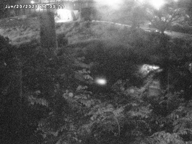日野川１０2026/06/21 9:40:00